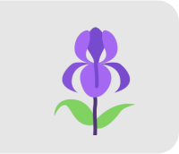 Orchis Latifolia Extract